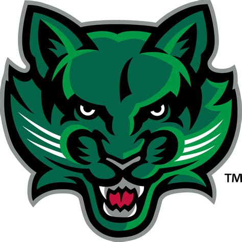 binghamton bearcats